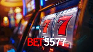 Experiência VIP Bet5577